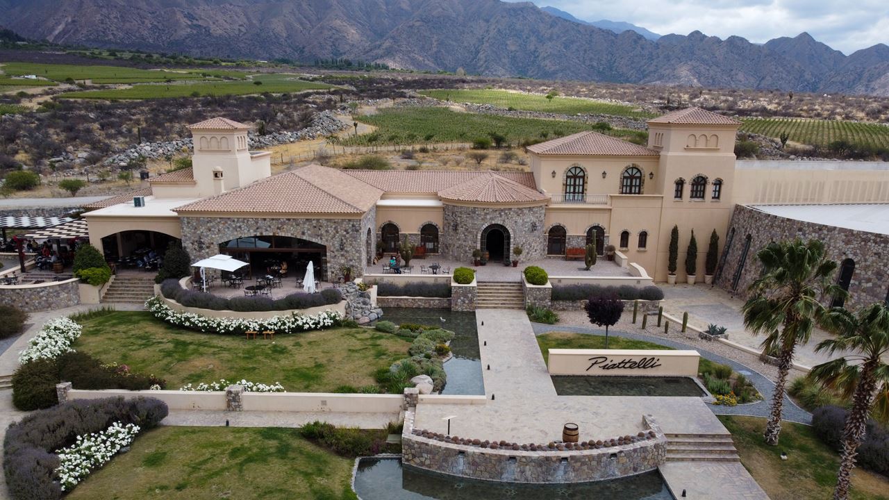 Visita Y Degustación De Vinos En Bodega Piattelli foto 3