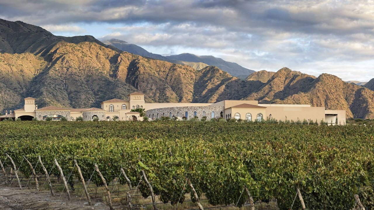 Visita Y Degustación De Vinos En Bodega Piattelli foto 2