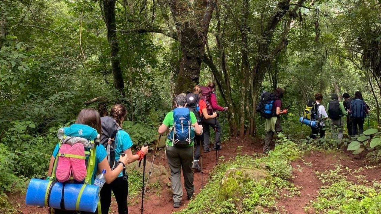 Travesia De La Puna A Las Yungas foto 2