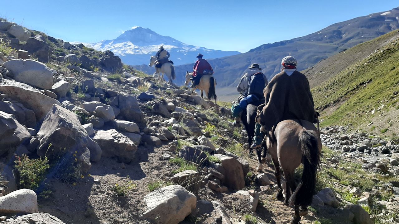 Horse Crossing The Andes foto 2