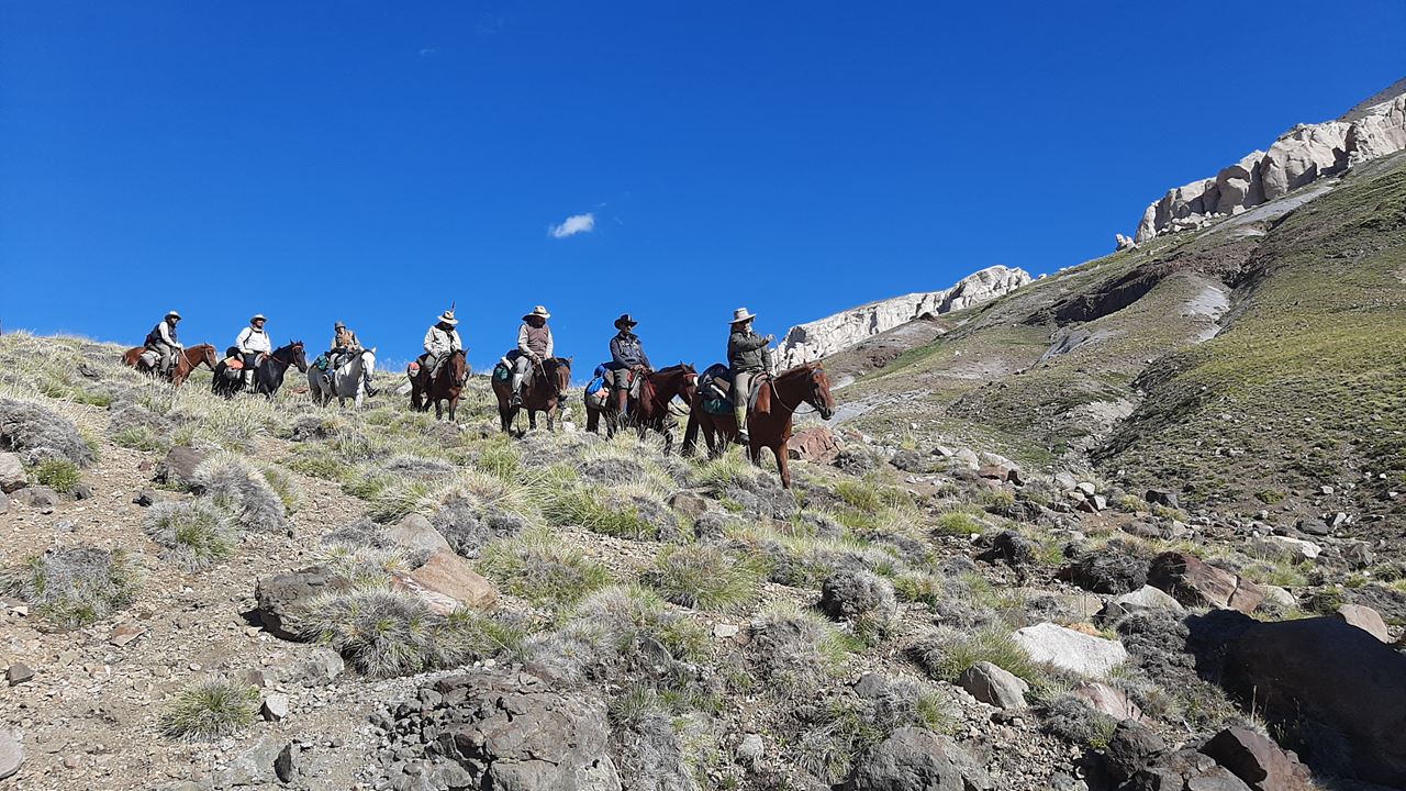 Horse Crossing The Andes foto 3