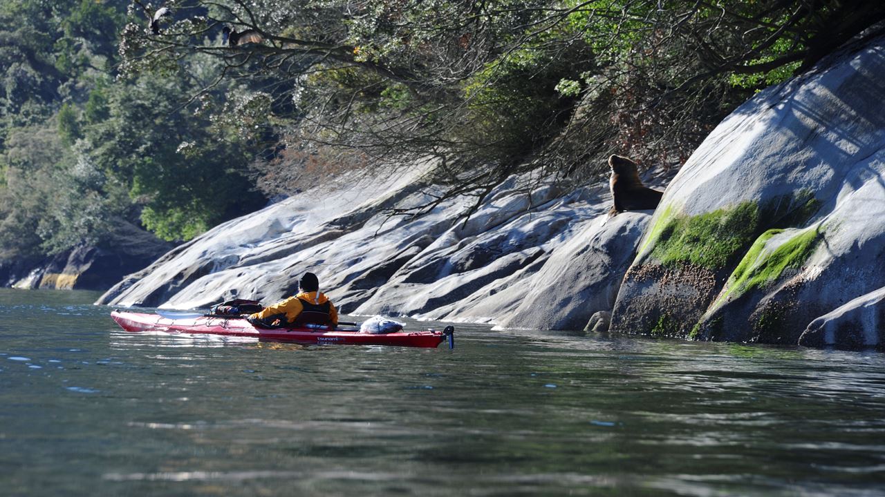 Descubre Reloncavi, Kayak En El Primer Fiordo De Chile foto 13