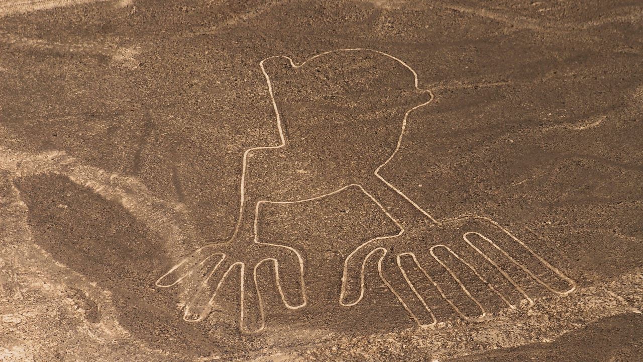 Nazca Lines And Ballestas Islands foto 6