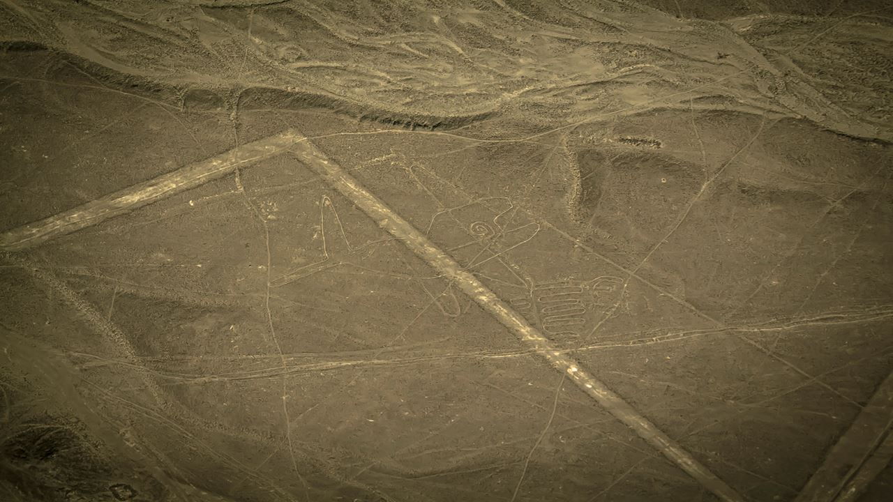 Nazca Lines And Ballestas Islands foto 11