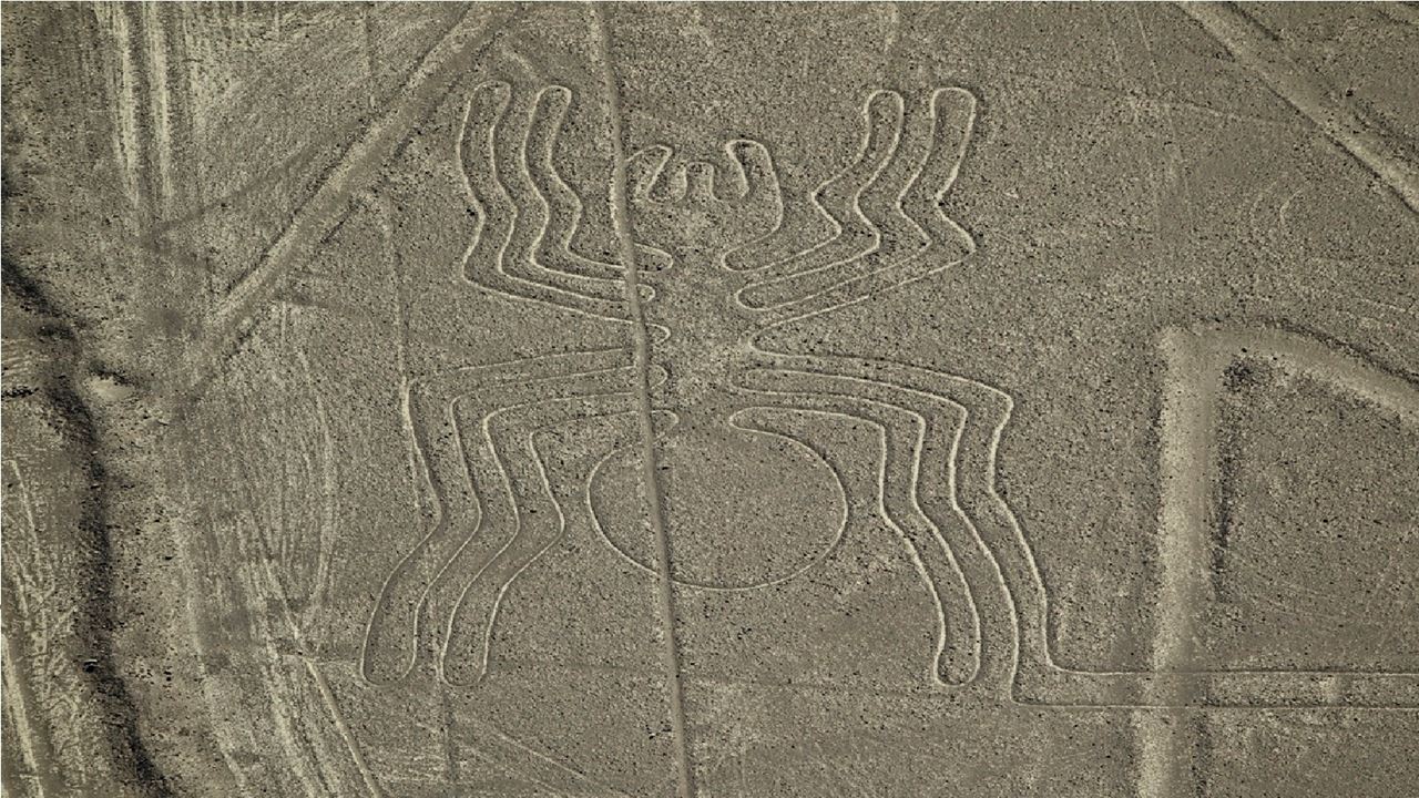 Nazca Lines And Ballestas Islands foto 7