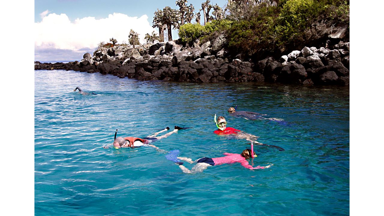 Galápagos Inesquecíveis: Expedição Premium Em Cruzeiro - 5 Dias foto 3