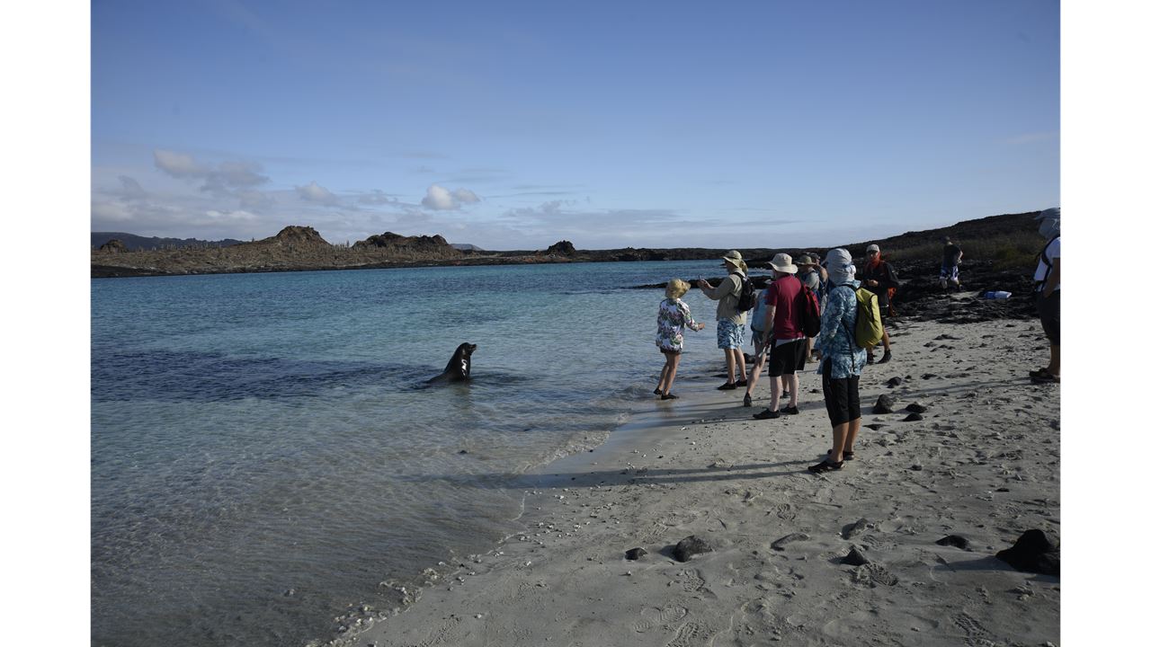 Cruzeiro De Luxo Pelas Ilhas Galápagos - 6 Dias: Bartolomeu E Genovesa foto 5
