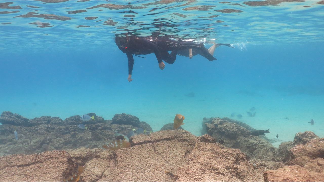 Cruzeiro De Luxo Pelas Ilhas Galápagos - 6 Dias: Bartolomeu E Genovesa foto 6