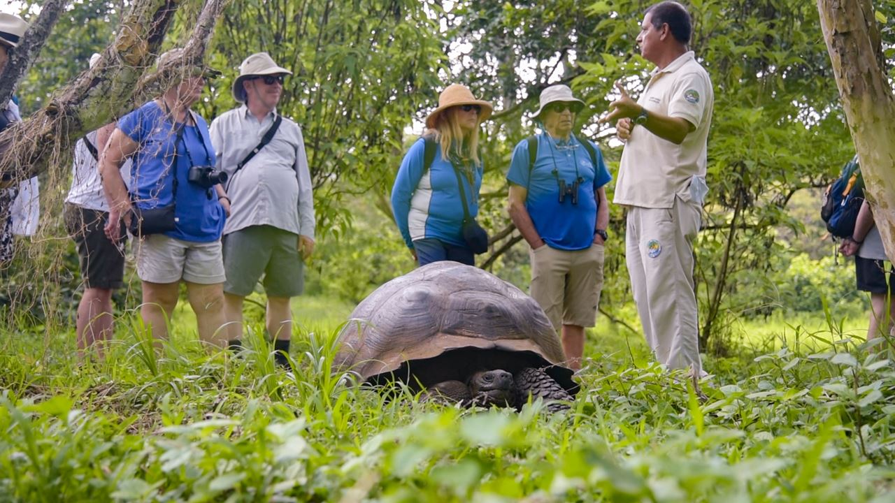 Grande Expédition Aux Galapagos : 8 Jours De Faune Et De Nature foto 4