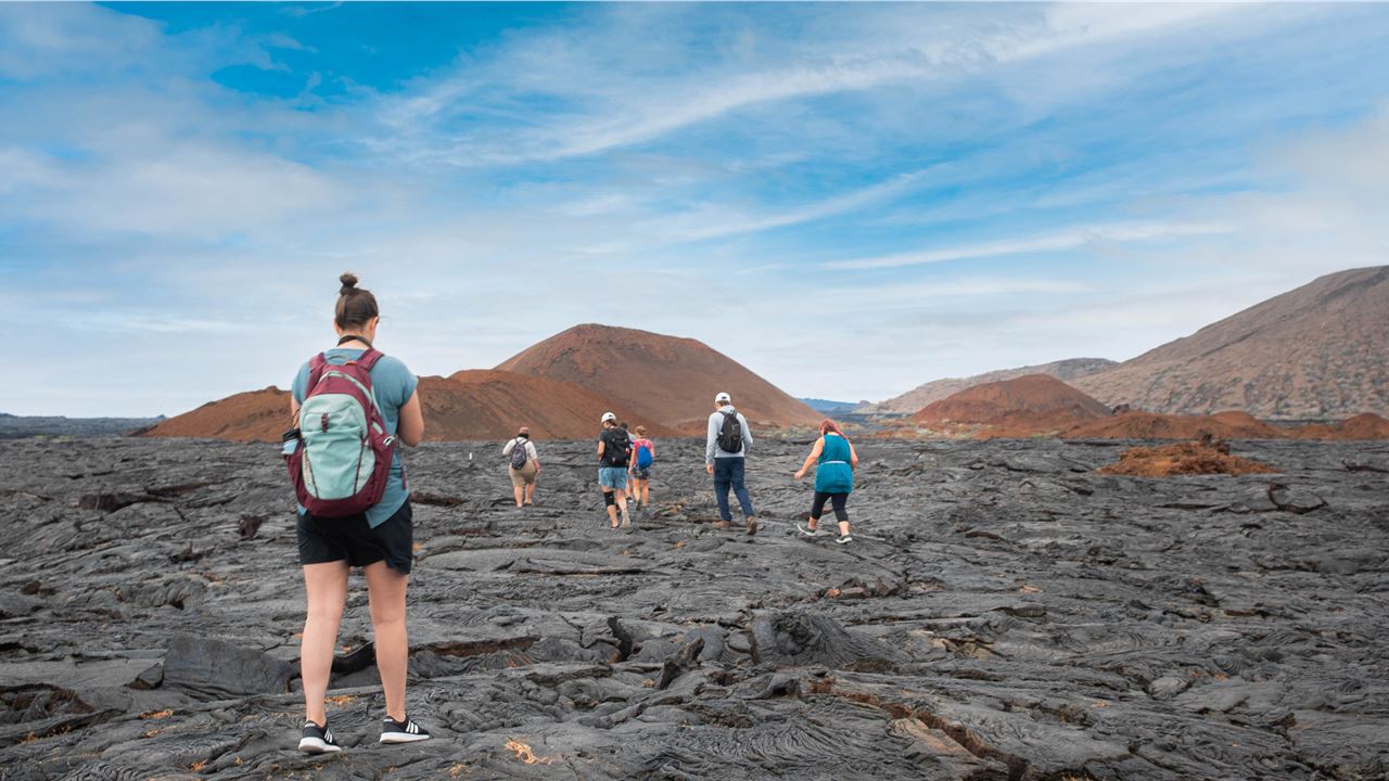 Grande Expédition Aux Galapagos : 8 Jours De Faune Et De Nature foto 5
