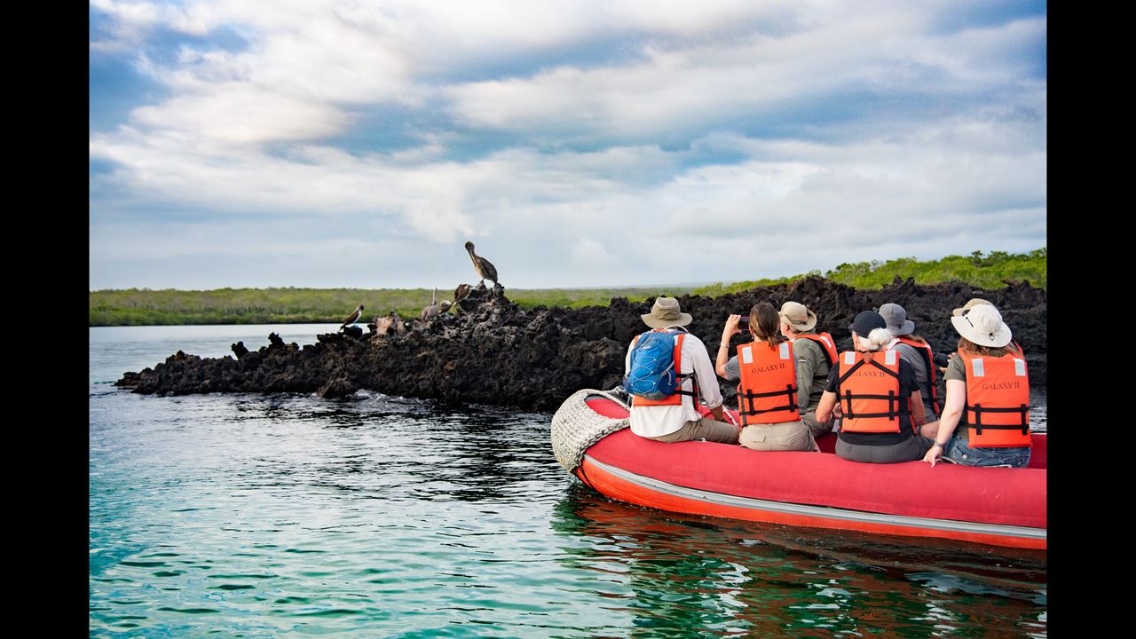 Grande Expédition Aux Galapagos : 8 Jours De Faune Et De Nature foto 3
