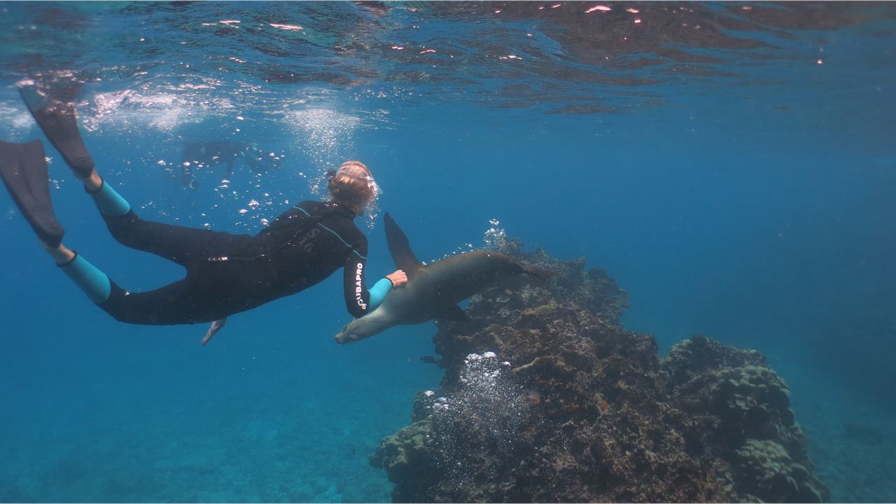 Grande Expédition Aux Galapagos : 8 Jours De Faune Et De Nature foto 2