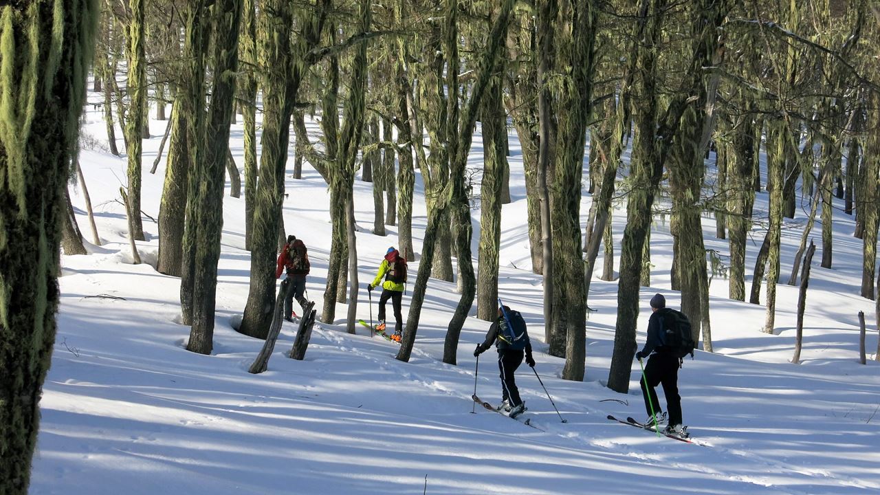 Ski De Randonnée À Valle Escondido foto 1