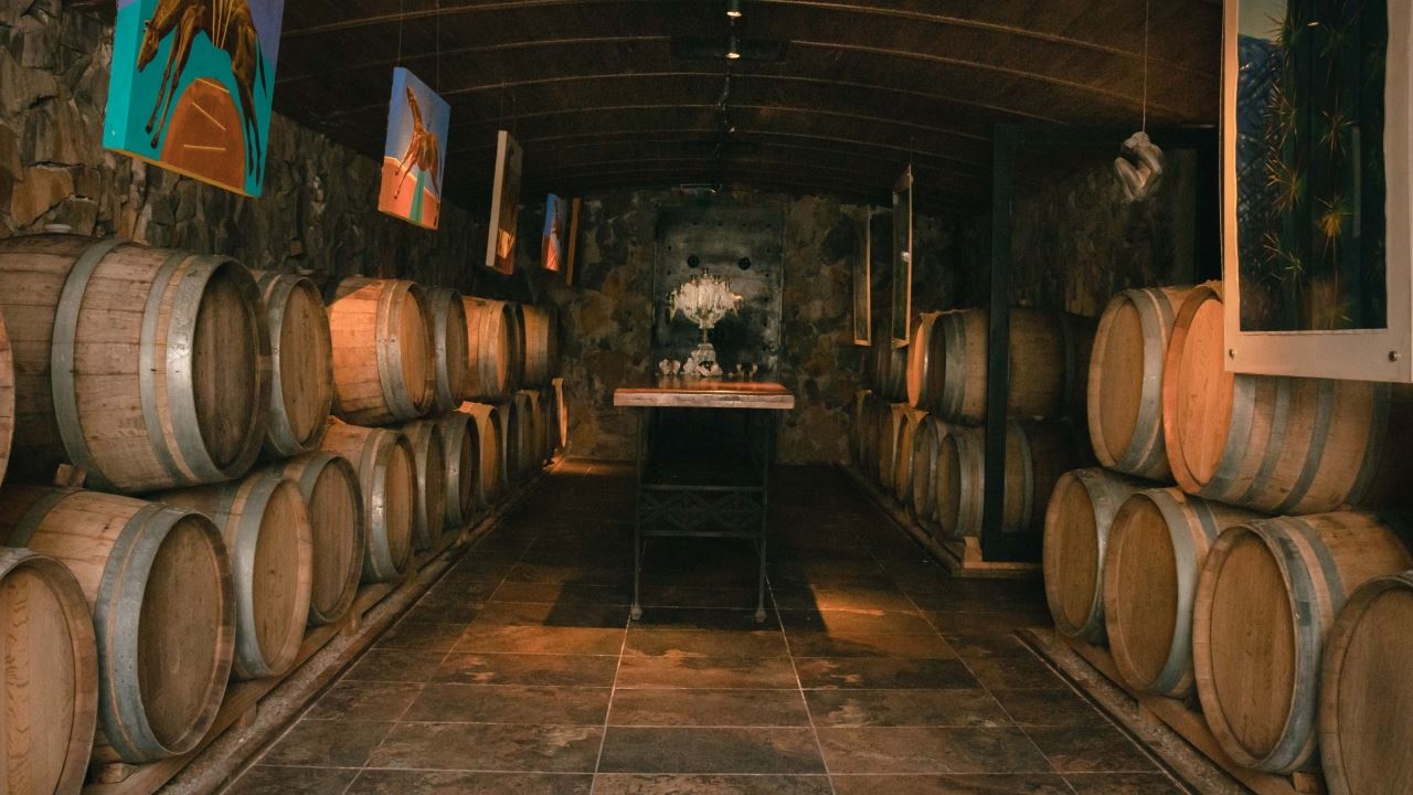 Visite E Deguste Seus Vinhos Na Vinícola Casa Vigil foto 7