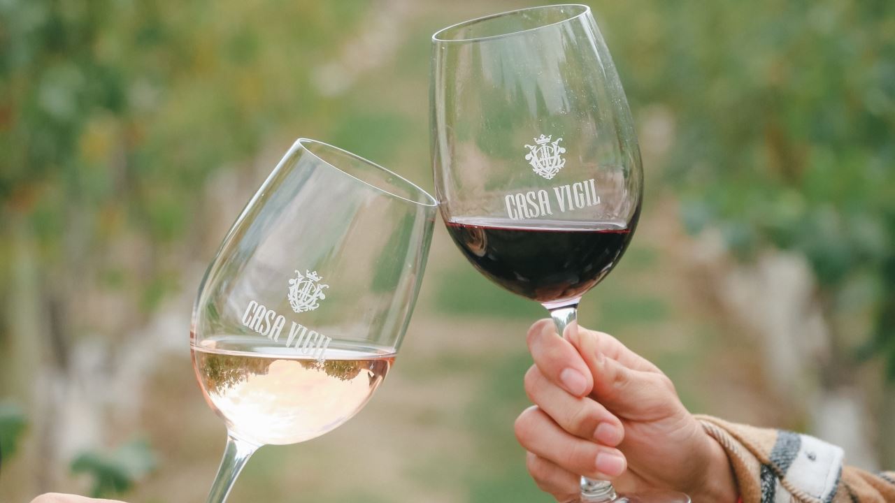 Visite E Deguste Seus Vinhos Na Vinícola Casa Vigil foto 6