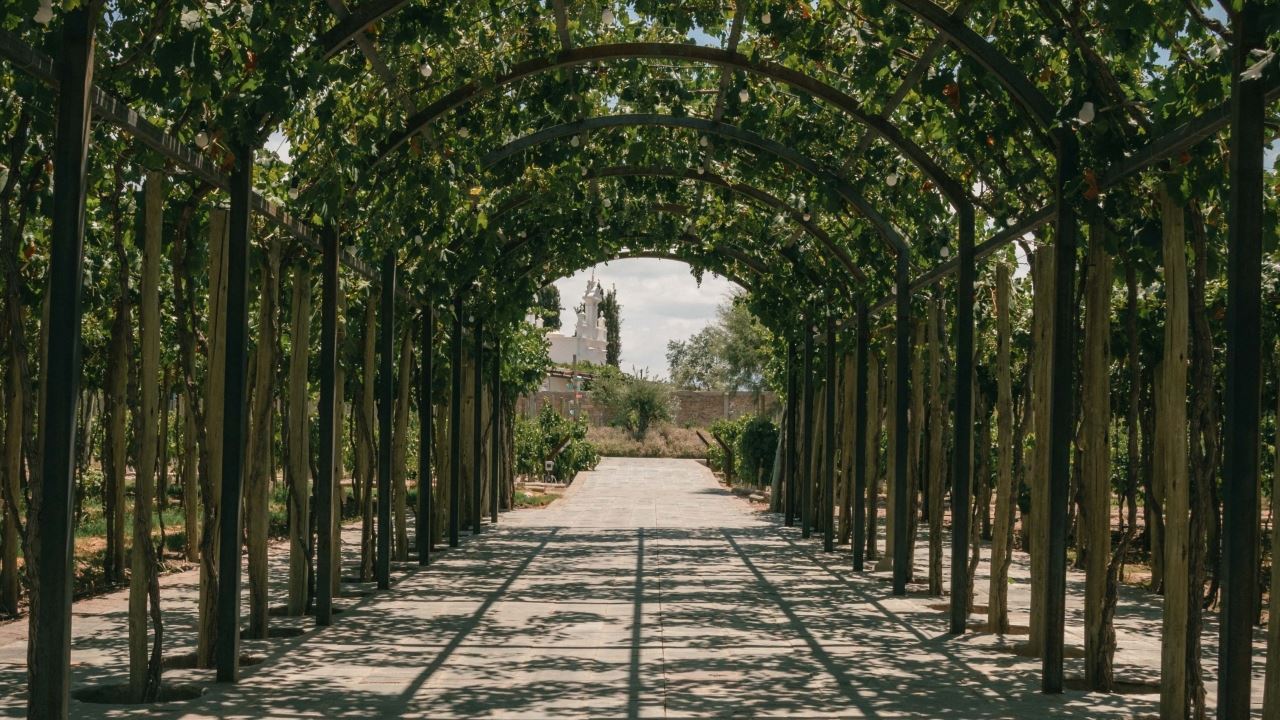 Visite E Deguste Seus Vinhos Na Vinícola Casa Vigil foto 1