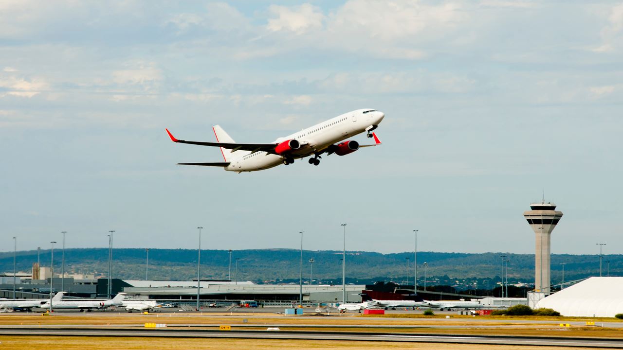 Traslado De Chegada Privado: Aeroporto Internacional El Edén Para O Hotel foto 1