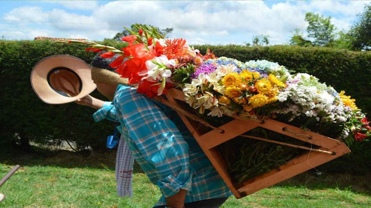 Flower Growers Tour In Santa Elena - Flower Fair 2026 foto 7