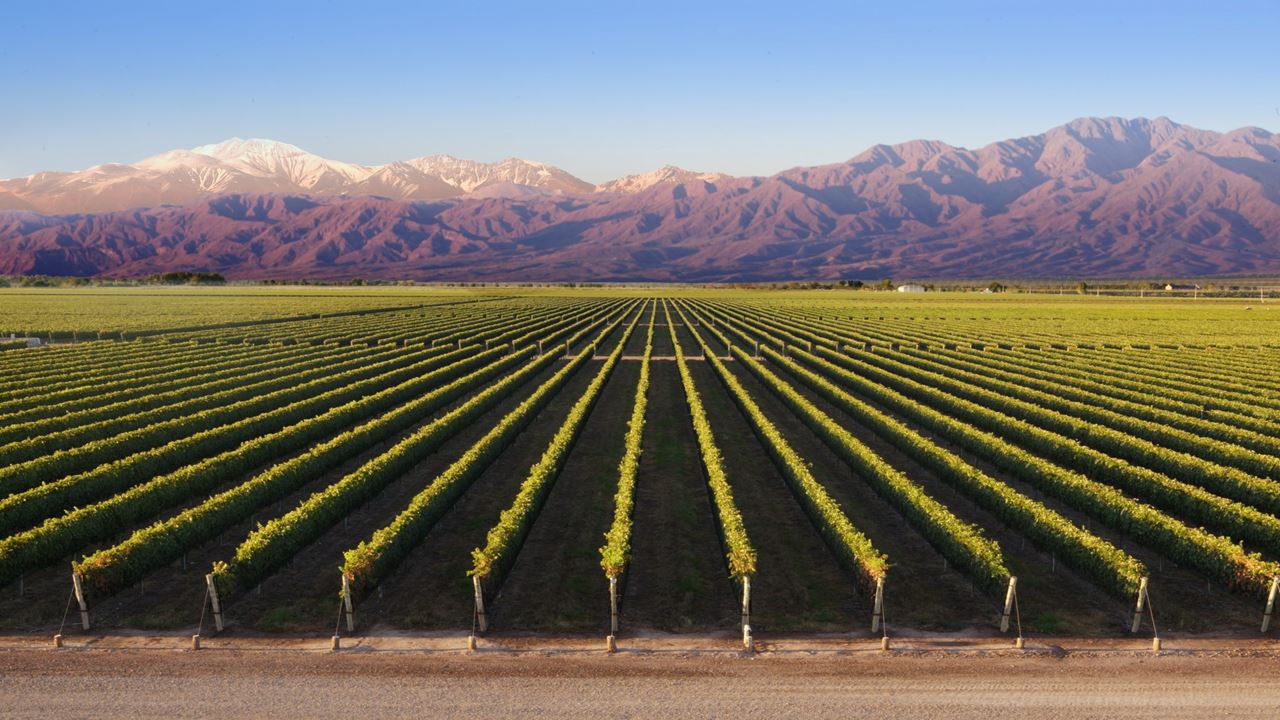 Mendoza Deluxe Travel Package foto 1
