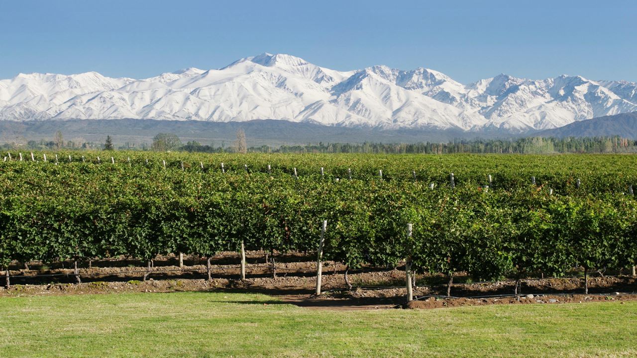 Mendoza Deluxe Travel Package foto 9
