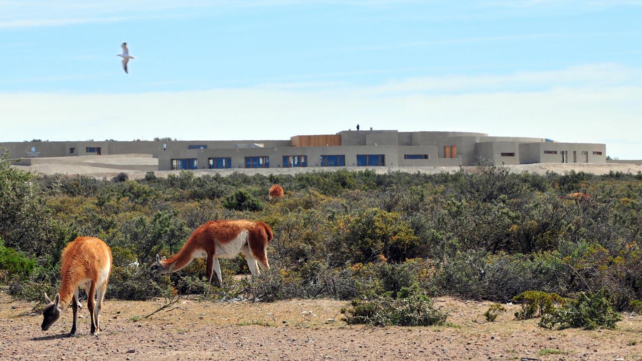 Puerto Madryn Classic Package foto 4