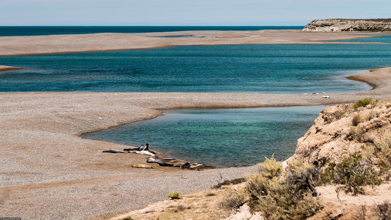 Puerto Madryn Classic Package foto 3