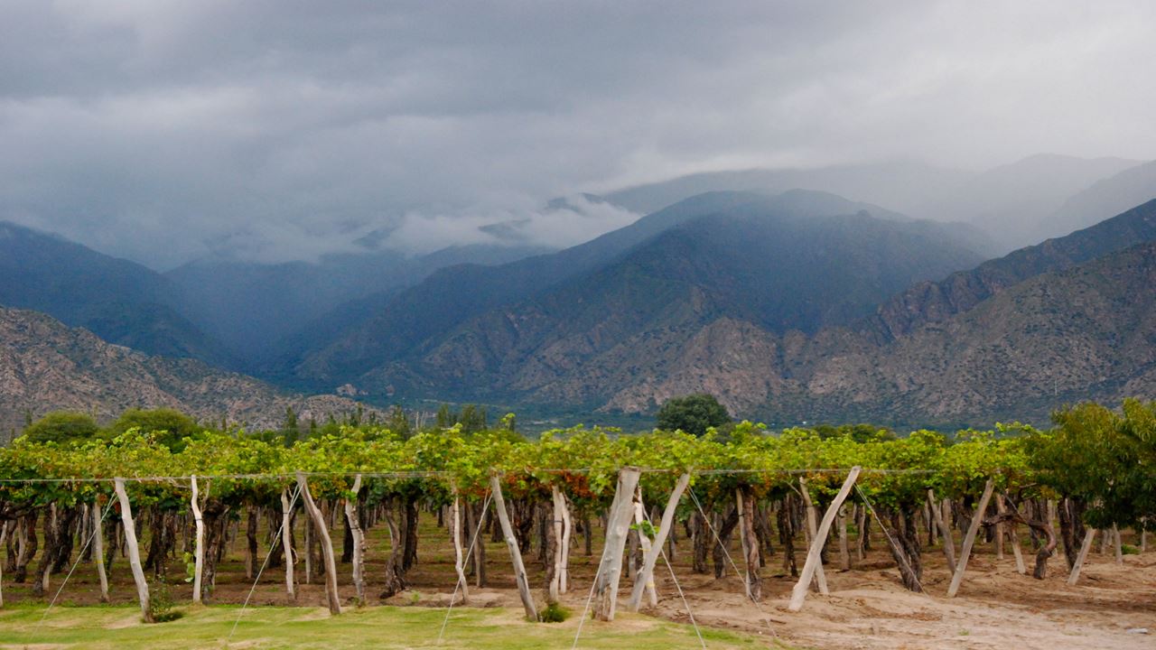 Tourist Package To Salta And Jujuy Classic foto 4