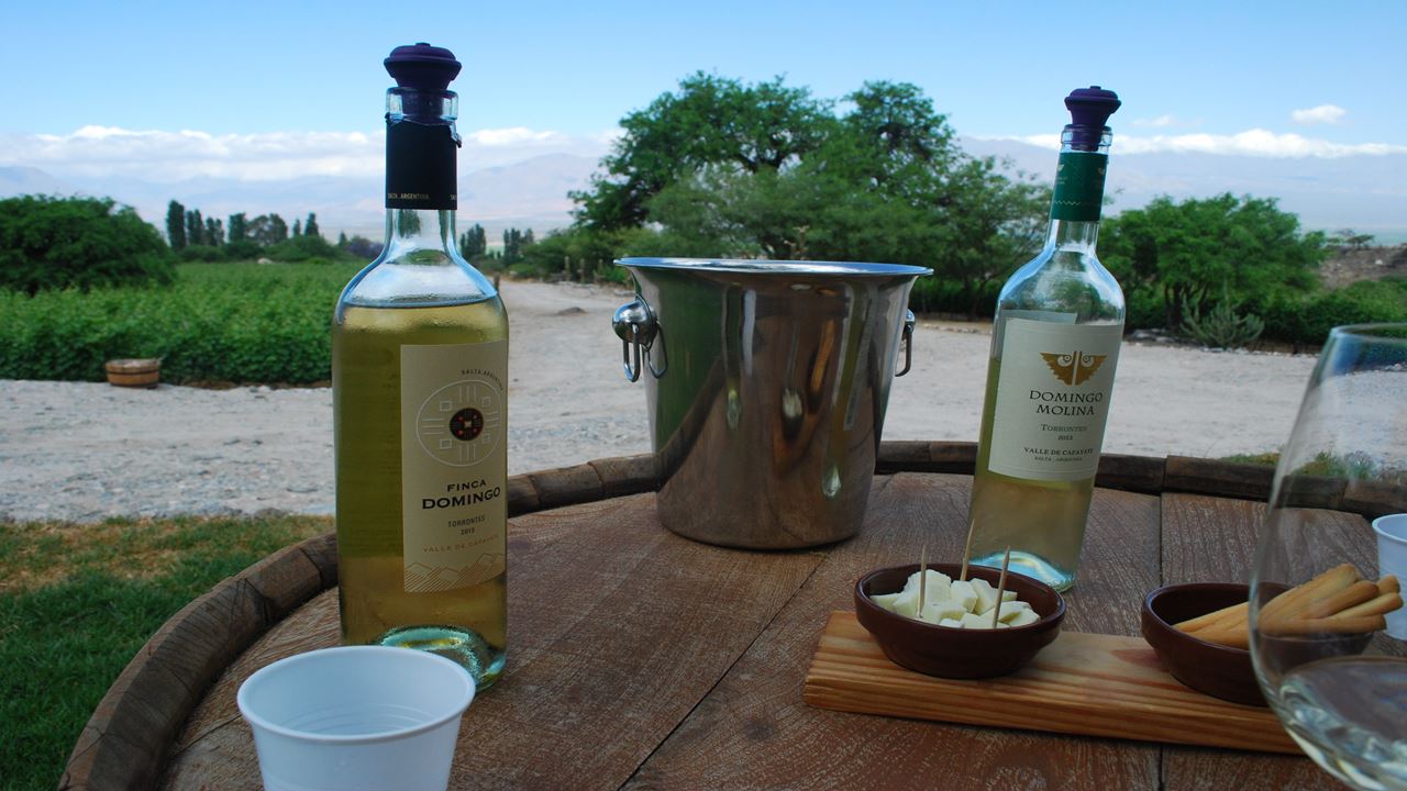 Tourist Package To Salta And Jujuy Classic foto 3