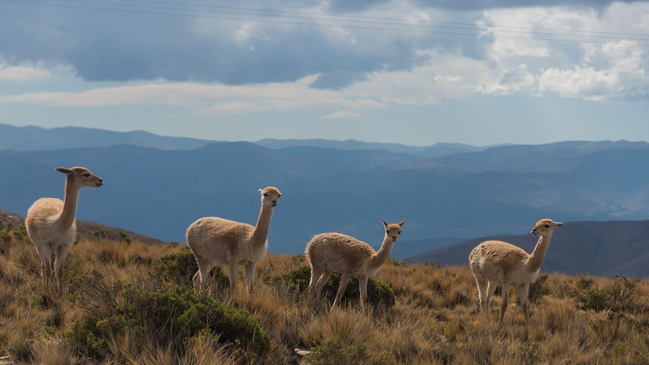 Tourist Package To Salta And Jujuy Classic foto 6