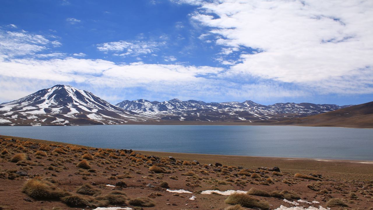The Best Of Santiago, La Serena And San Pedro De Atacama foto 15