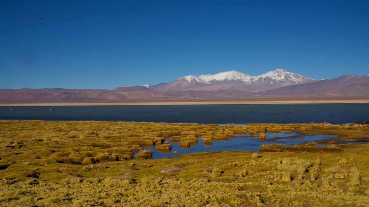 The Best Of Santiago, La Serena And San Pedro De Atacama foto 17