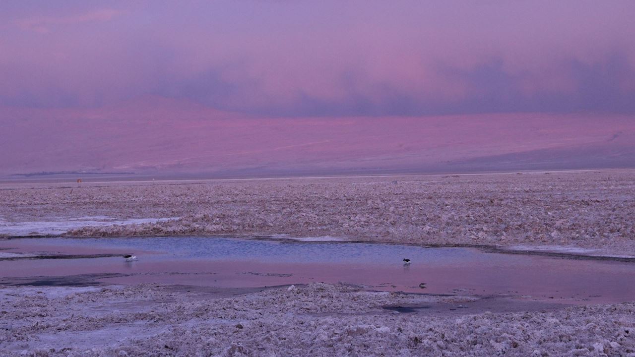 The Best Of Santiago, La Serena And San Pedro De Atacama foto 8