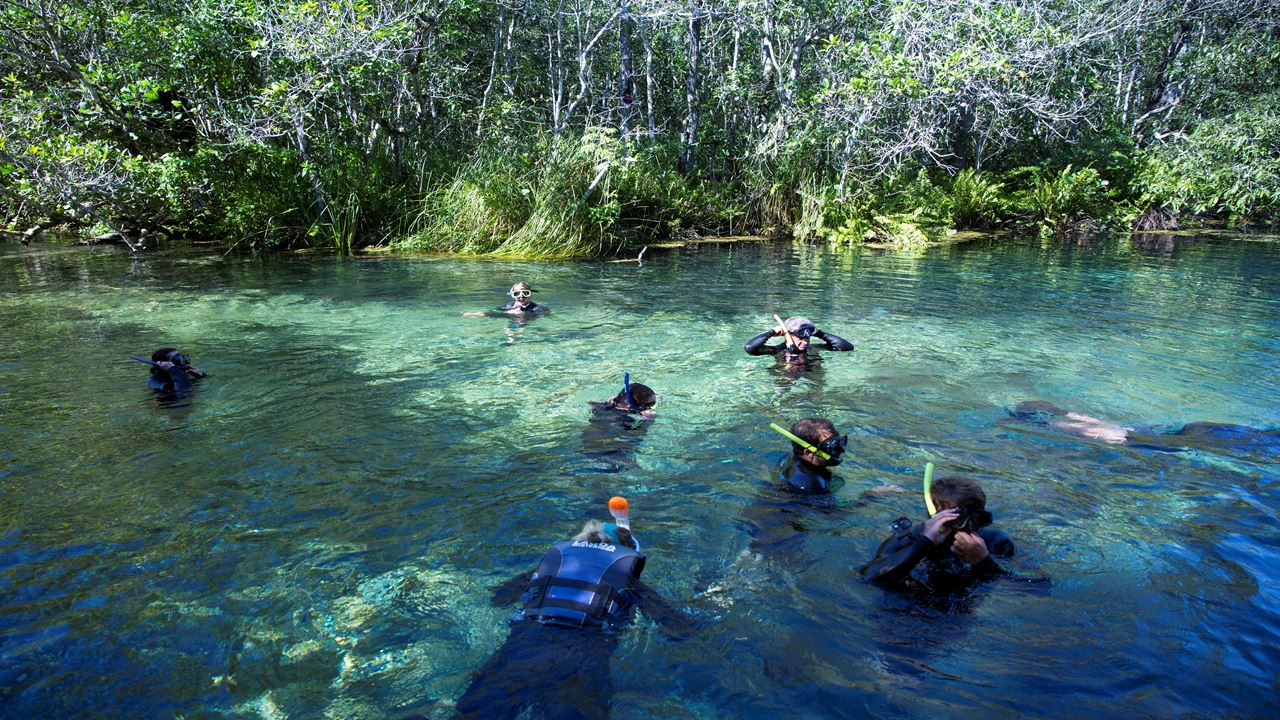 Foz Do Iguaçu, Bonito And Fernando De Noronha Package foto 6