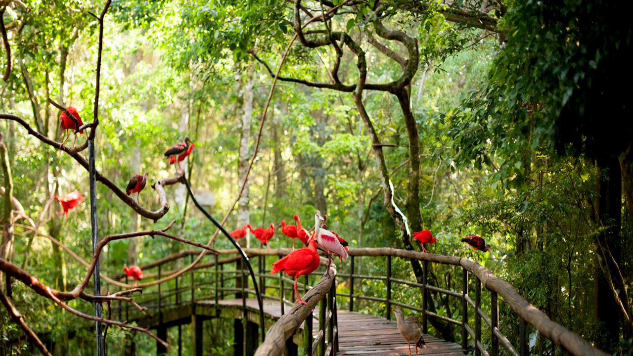 Foz Do Iguaçu, Bonito And Fernando De Noronha Package foto 2