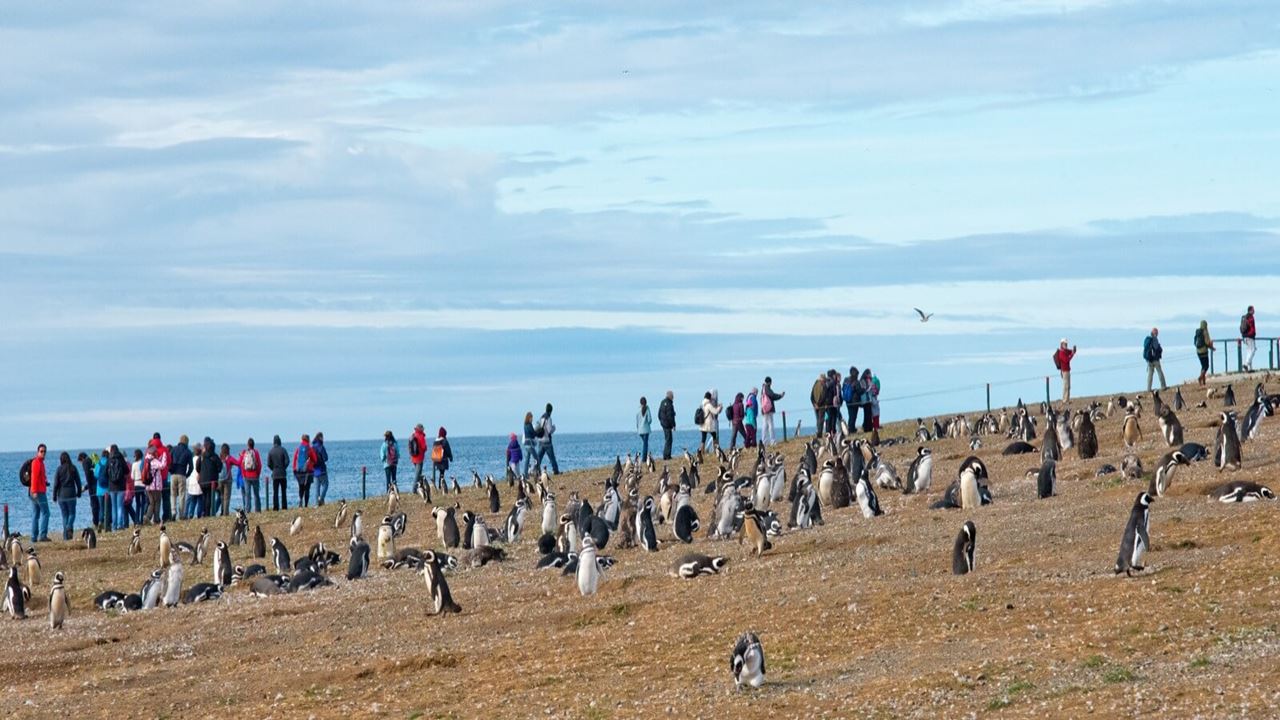 Austral Patagonia Package foto 4