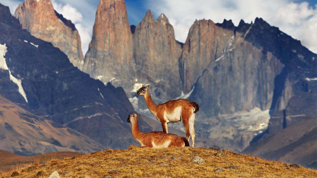 Glaciers Of Patagonia foto 3
