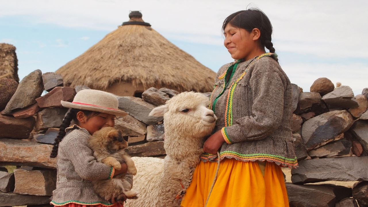 Classic Puno foto 4