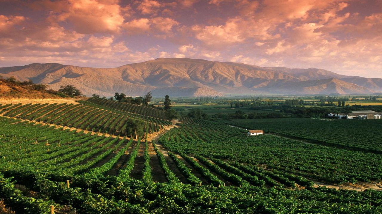 Tango, Wine And Beaches In South America foto 2