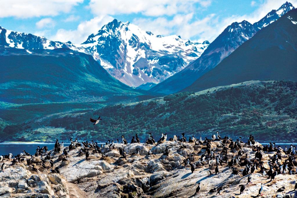 Exploring Complete Argentine Patagonia And Iguazu foto 1