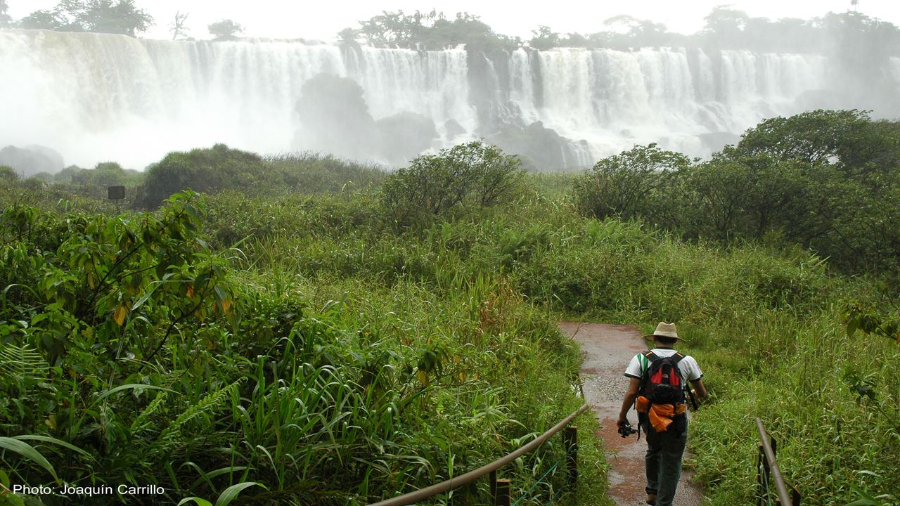 Buenos Aires With Iguassu Falls Deluxe foto 8
