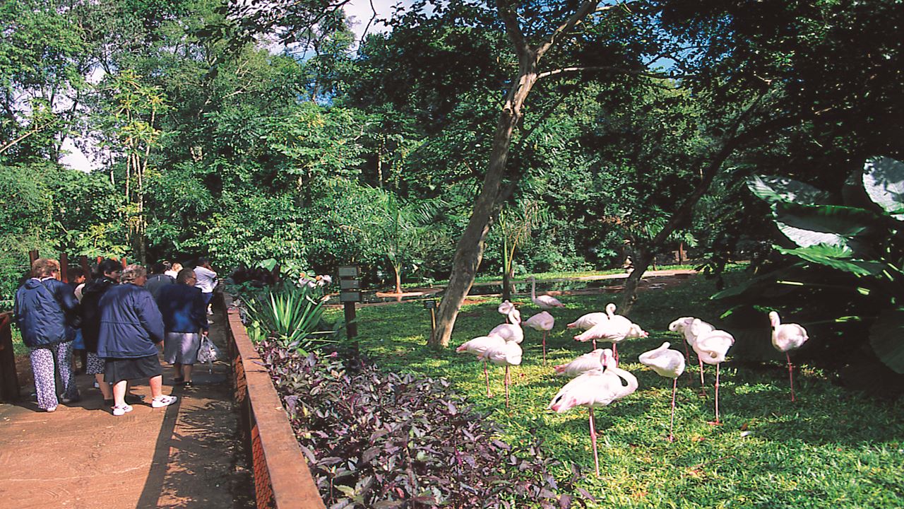 Brazil With Style foto 4