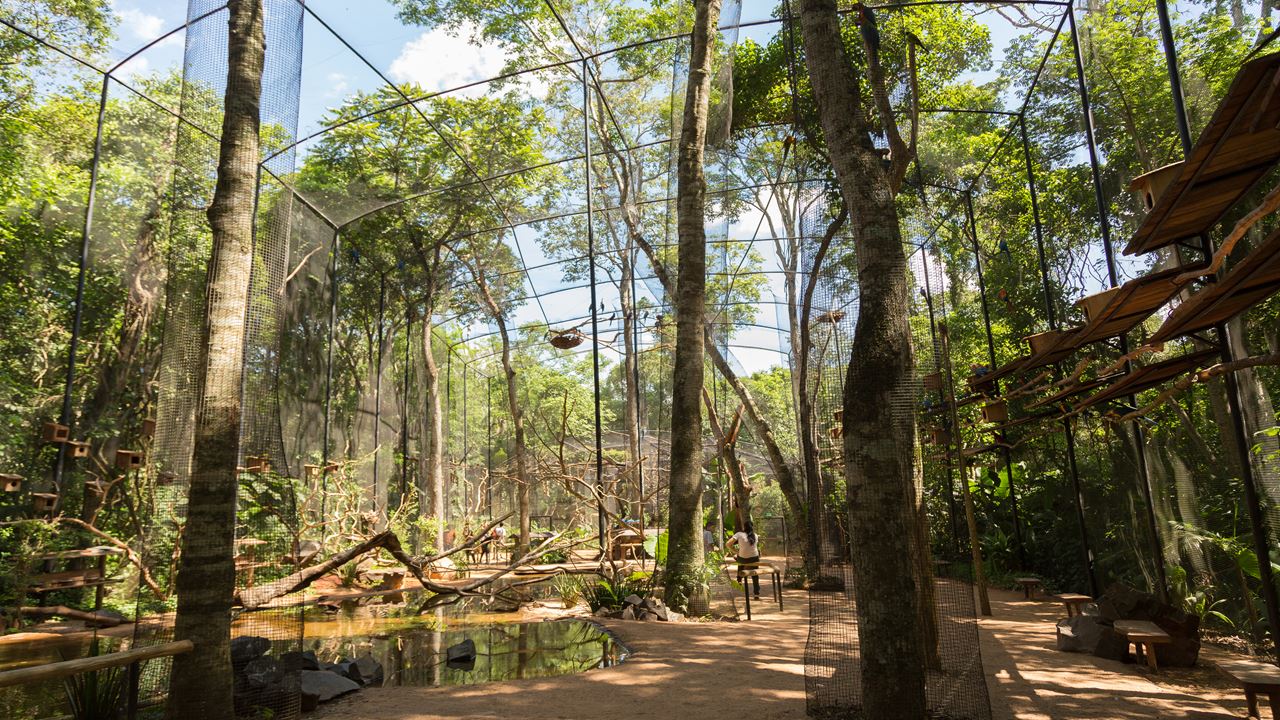 Rio De Janeiro And Foz Do Iguaçu Classic foto 4