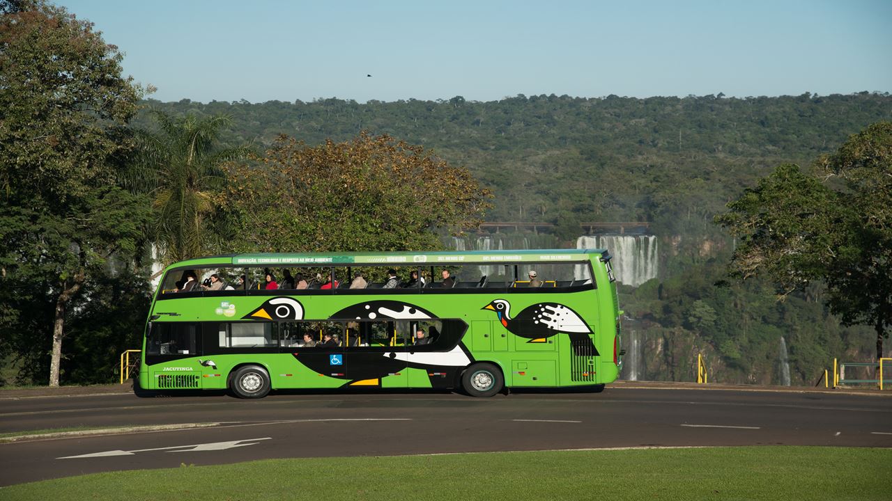 Rio De Janeiro, Foz Do Iguaçu, Salvador Y Amazonia foto 7