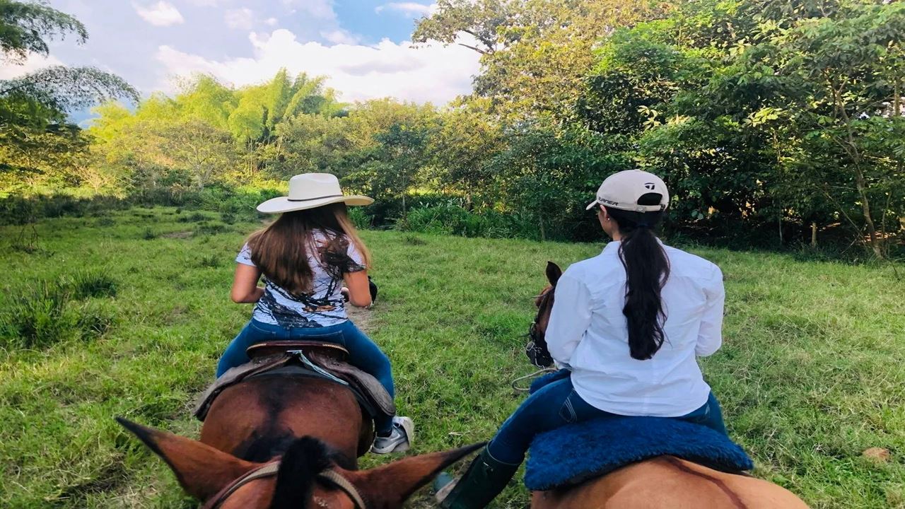 Reiten Durch Die Kaffeelandschaft foto 4