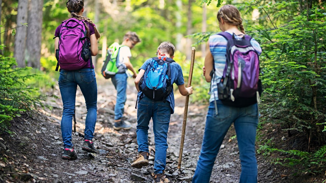 Wandern Im Naturschutzgebiet Barbas Bremen foto 3