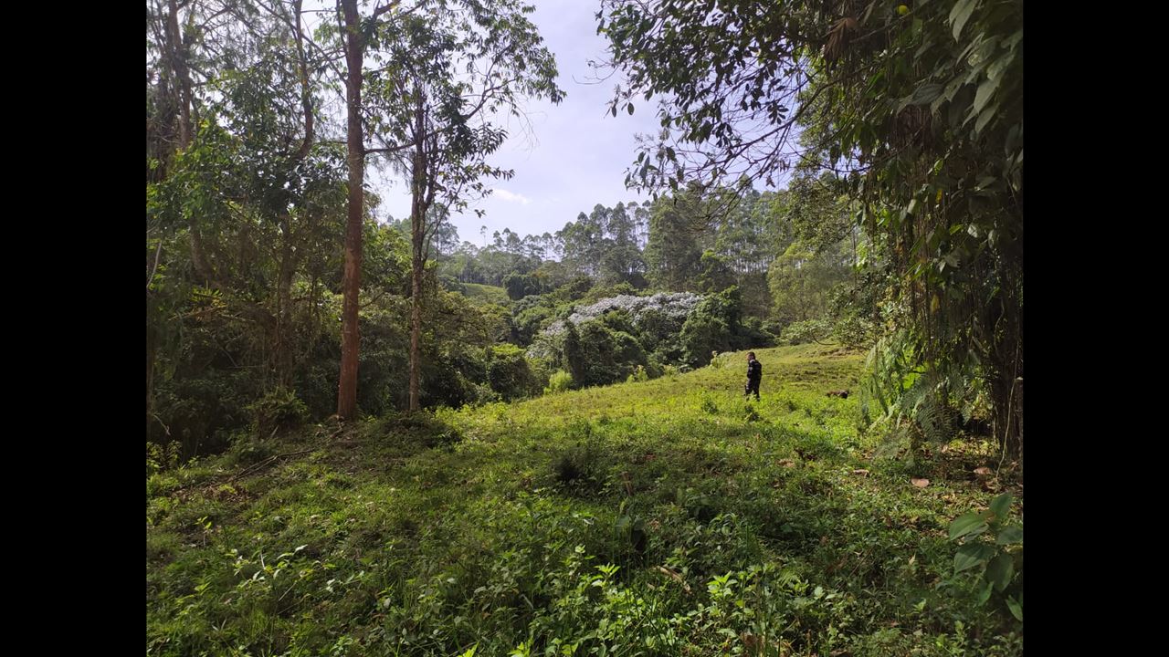 Wandern Im Naturschutzgebiet Barbas Bremen foto 6