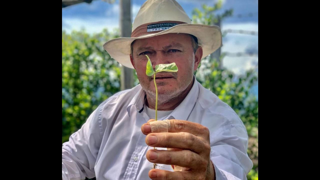 Pflanze Einen Kaffeebaum Auf Einer Kaffeefarm foto 2