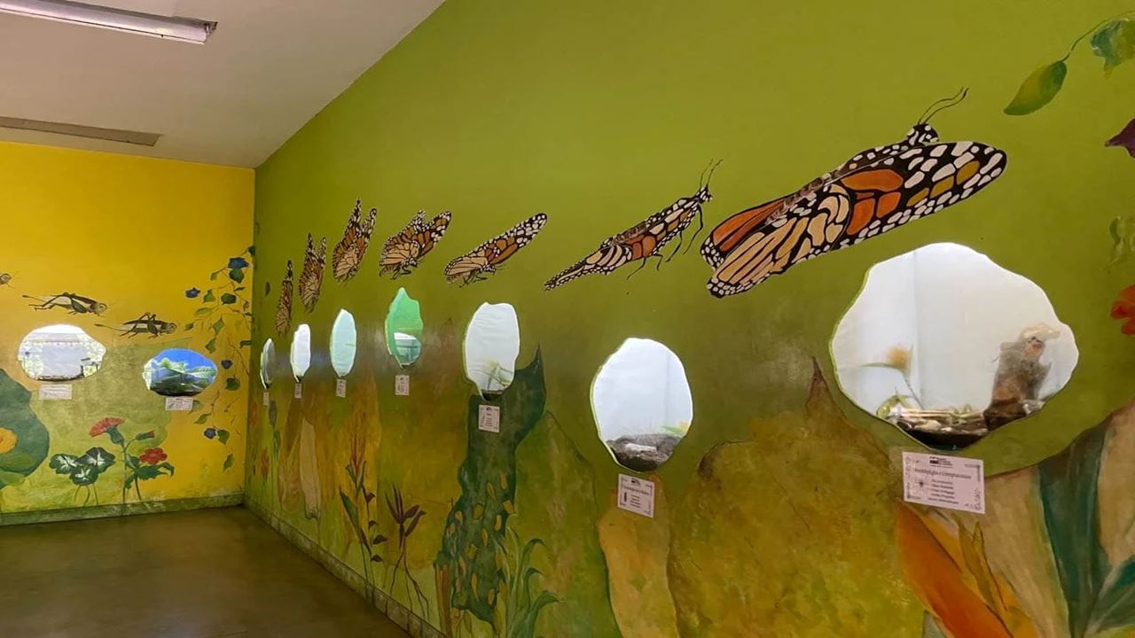 Tour Durch Den Botanischen Garten Und Den Schmetterlingsgarten Von Quindío foto 6