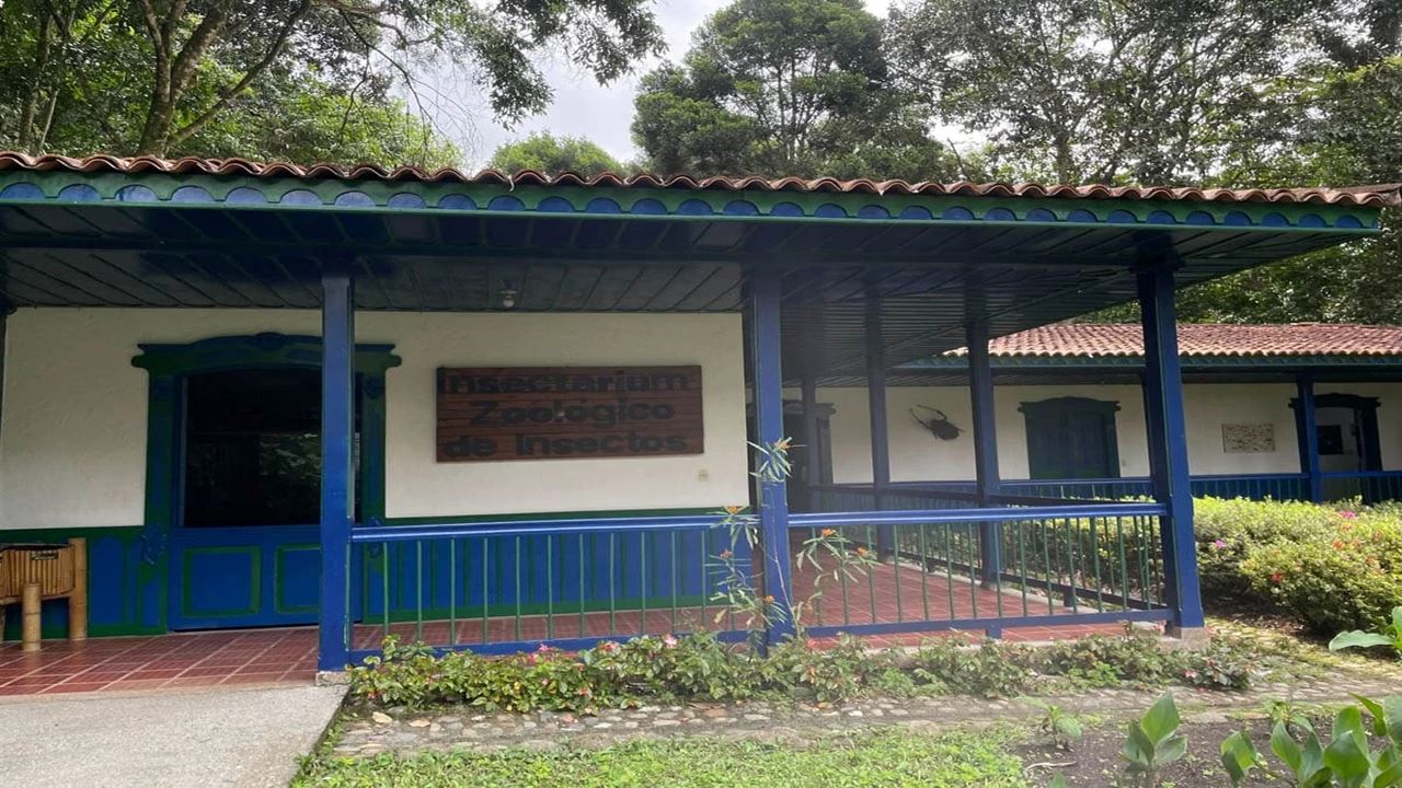 Tour Durch Den Botanischen Garten Und Den Schmetterlingsgarten Von Quindío foto 7