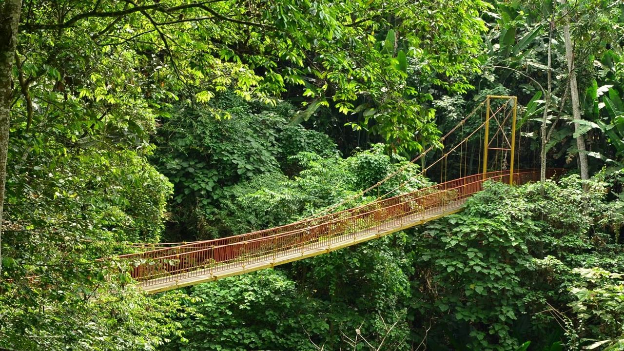 Tour Durch Den Botanischen Garten Und Den Schmetterlingsgarten Von Quindío foto 11